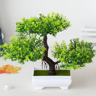 Planta Artificial Bonsai